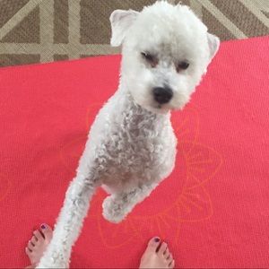 Meet your Posher, Kayla